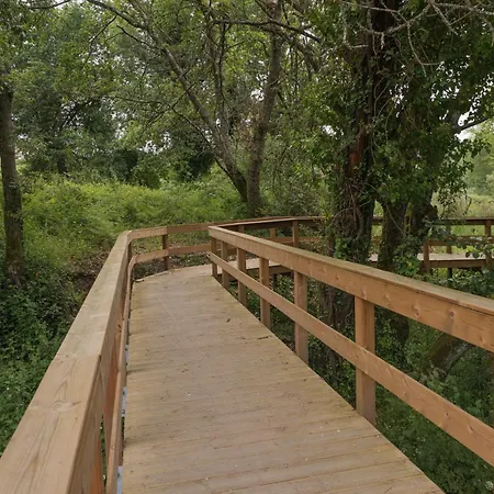 Quinta Da Fenteira - Casa Tora بيت للعطل